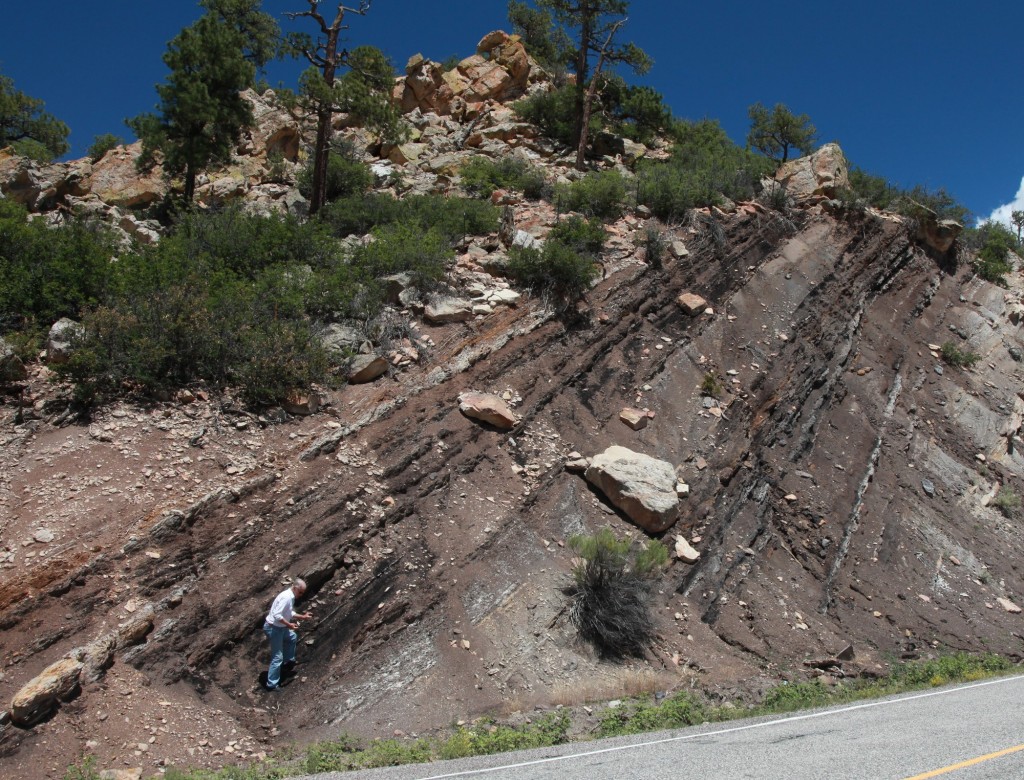 Fig. 3: coal deposit within a dune like structure (Photo Michael Steinbacher)