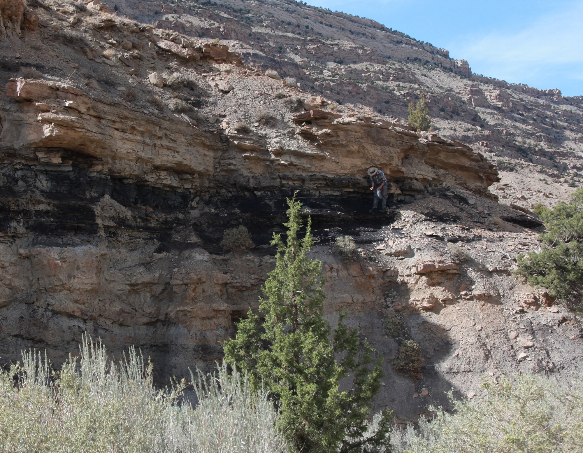 Fig. 2: Directly accessible coal seam in the book cliffs (Photo Michael Steinbacher)