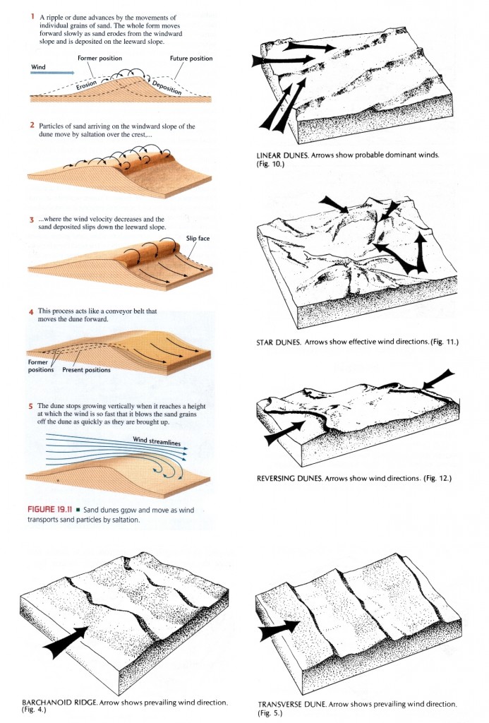 Dune creation [Grotzinger/Jordan 522] and -forms [McKee 11,13]