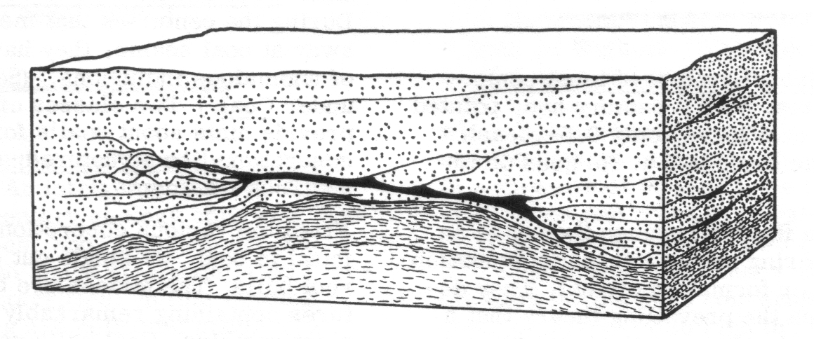 Fig. 4: vein-like coal seam, Summerset, Ohio (Corliss 1989, 189)